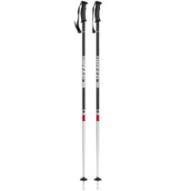 BLIZZARD-Rental ski poles Mix 125 cm 20/21